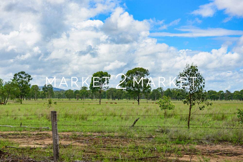 Grazing grass field with barbed wire fence, Queensland