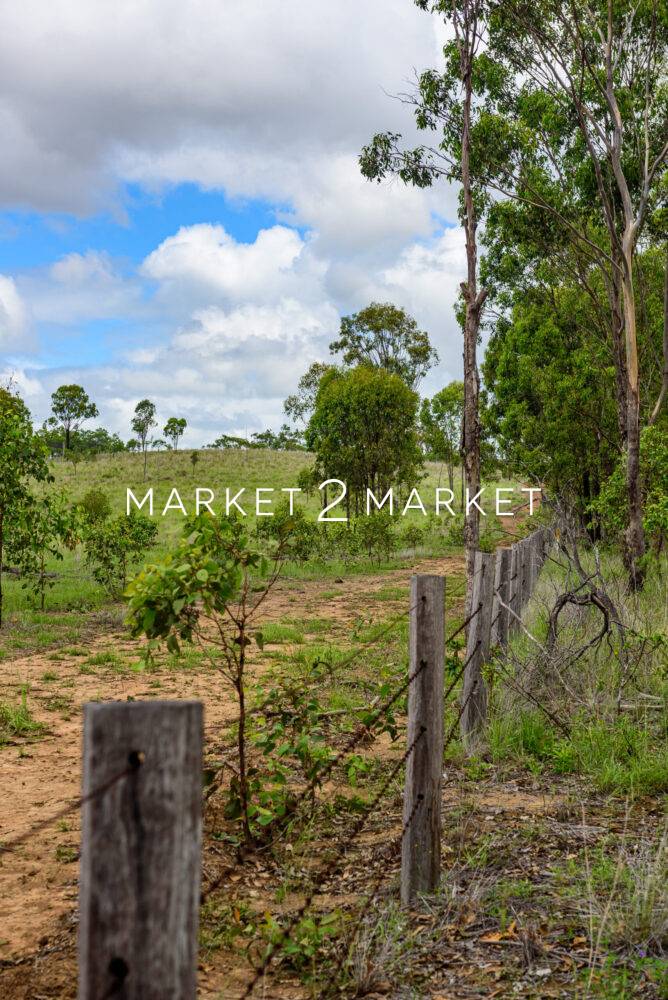 Grazing grass field with barbed wire fence, Queensland