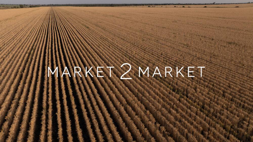Aerial View Over Rural Field of Crops, Central Queenland