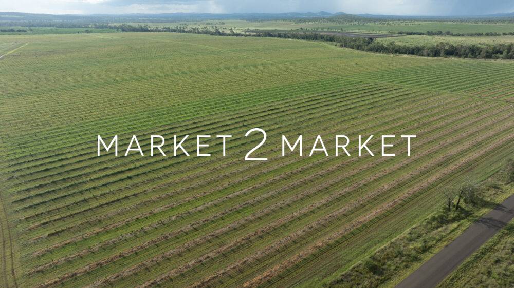 Aerial View over Orchard, Central Queensland