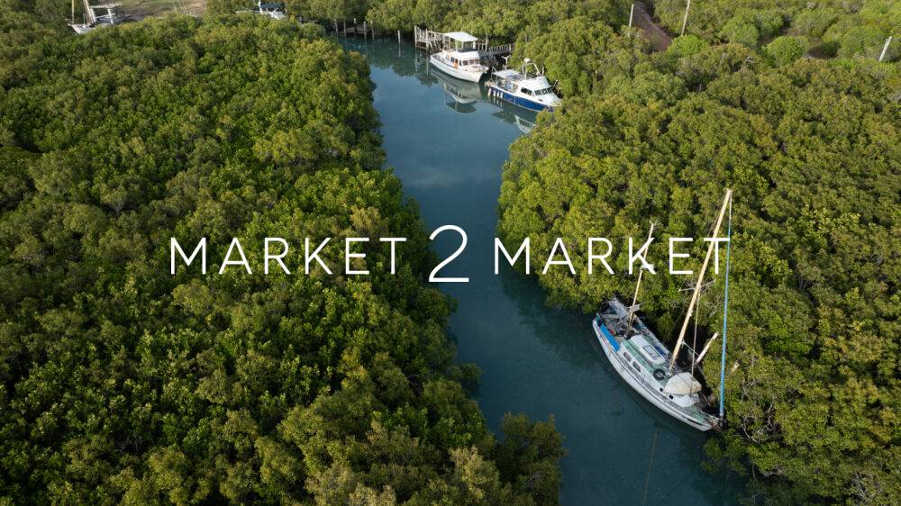 Aerial View of Small Boats along Waterway in Mangroves