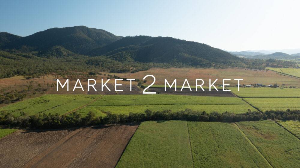 Aerial View of Farmland at Dusk near Mackay
