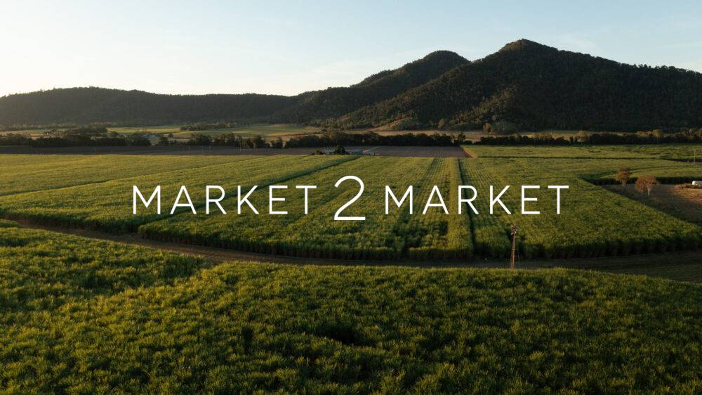 Aerial View of Farmland at Dusk near Mackay