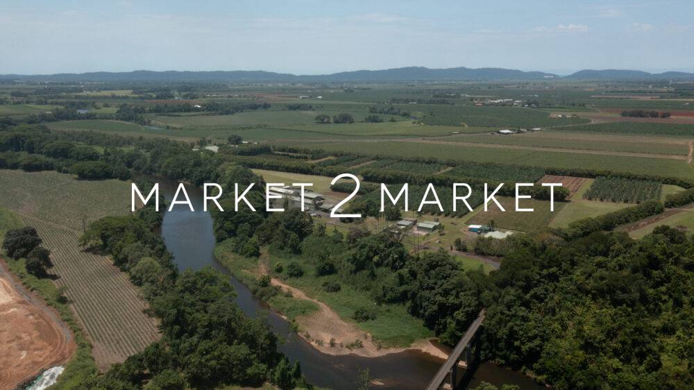 Aerial View of Agricultural Fields in North Queensland