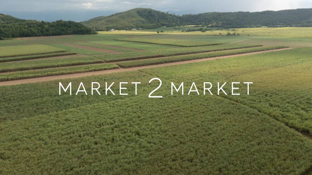 Aerial View of Sugarcane Plantation, North Queensland