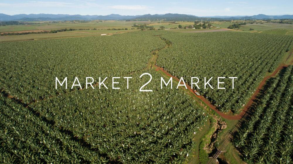 Aerial View over commercial Banana Plantations in Far North Queensland