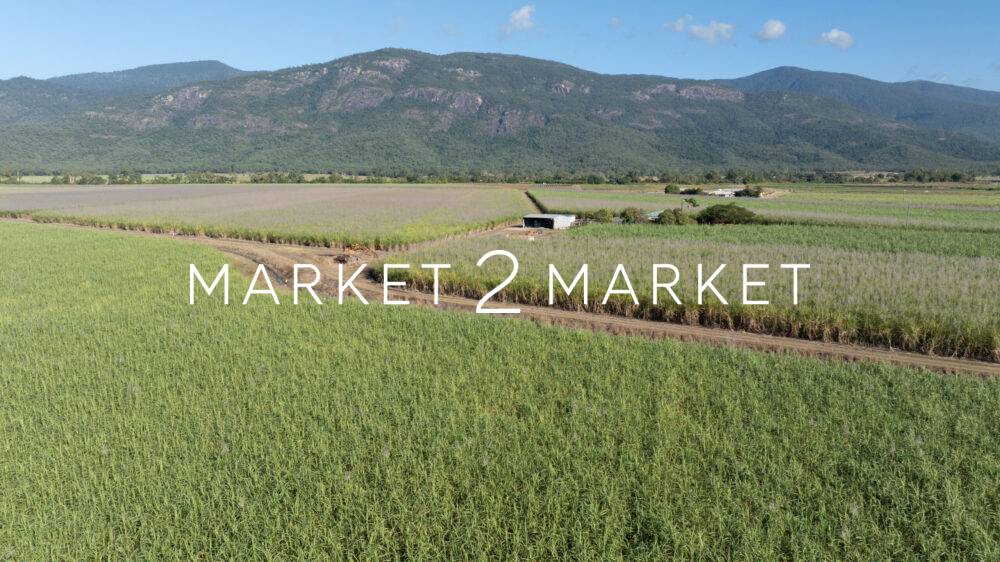 Aerial View of sugarcane fields in the Mackay region