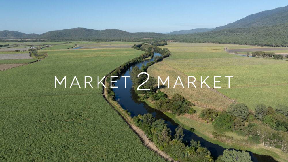 Aerial View of Pioneer River winding through vast sugarcane fields in the Mackay region