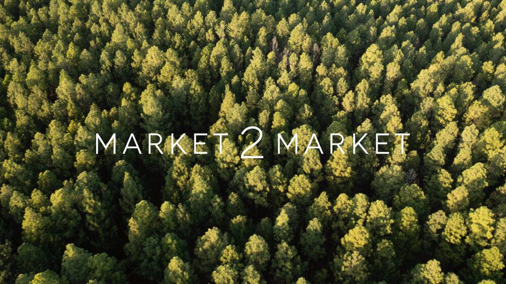 Aerial View over a Forest of Trees