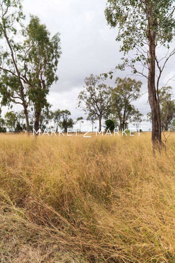 Dalby QLD