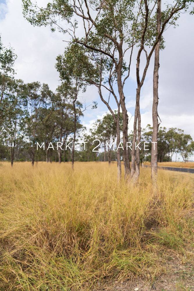Dalby QLD