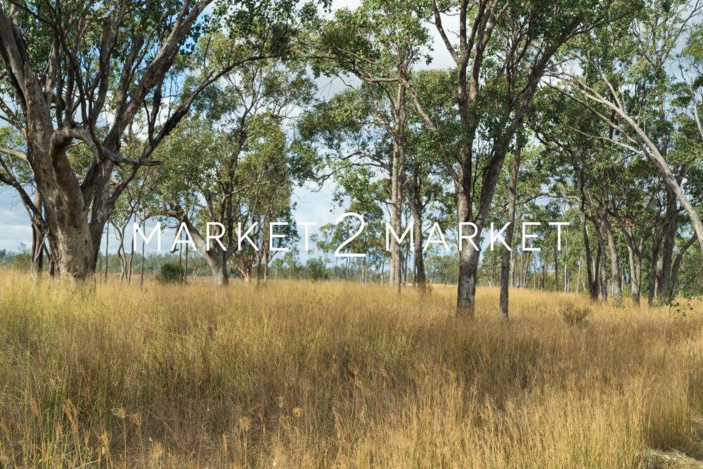 Dalby QLD